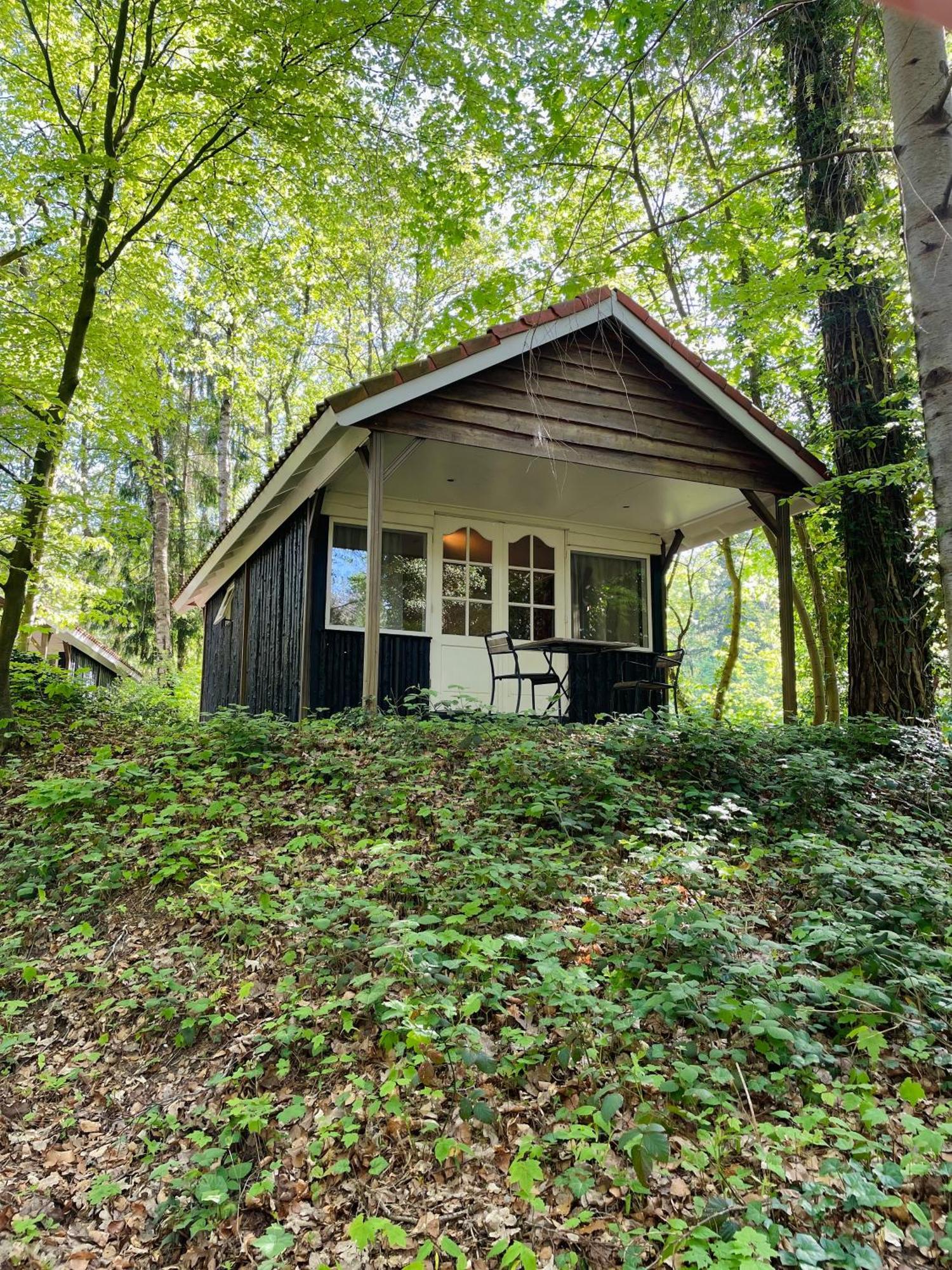 Landgoedhotel Villa Vennendal Nunspeet Kültér fotó